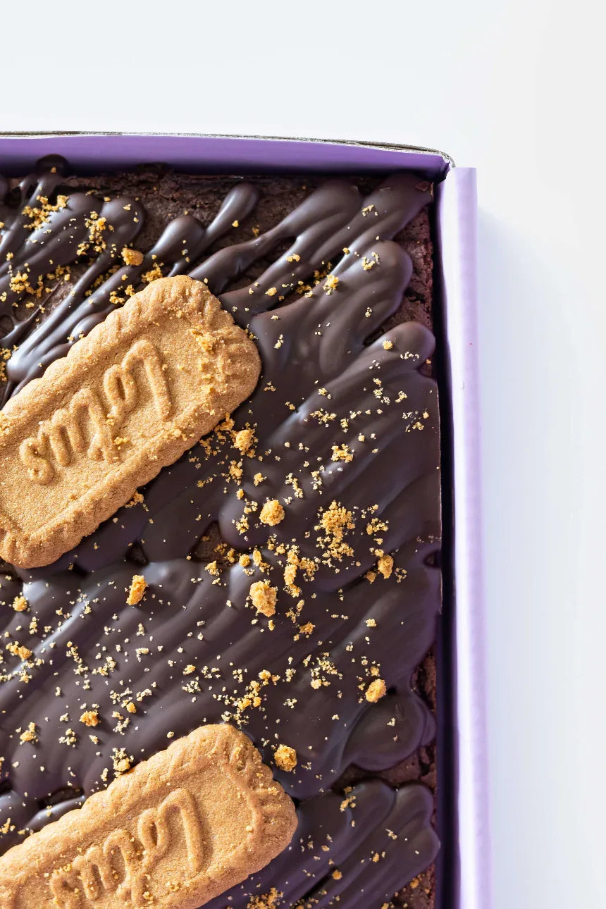 Lactation Brownie Slab - Milk and Bloom