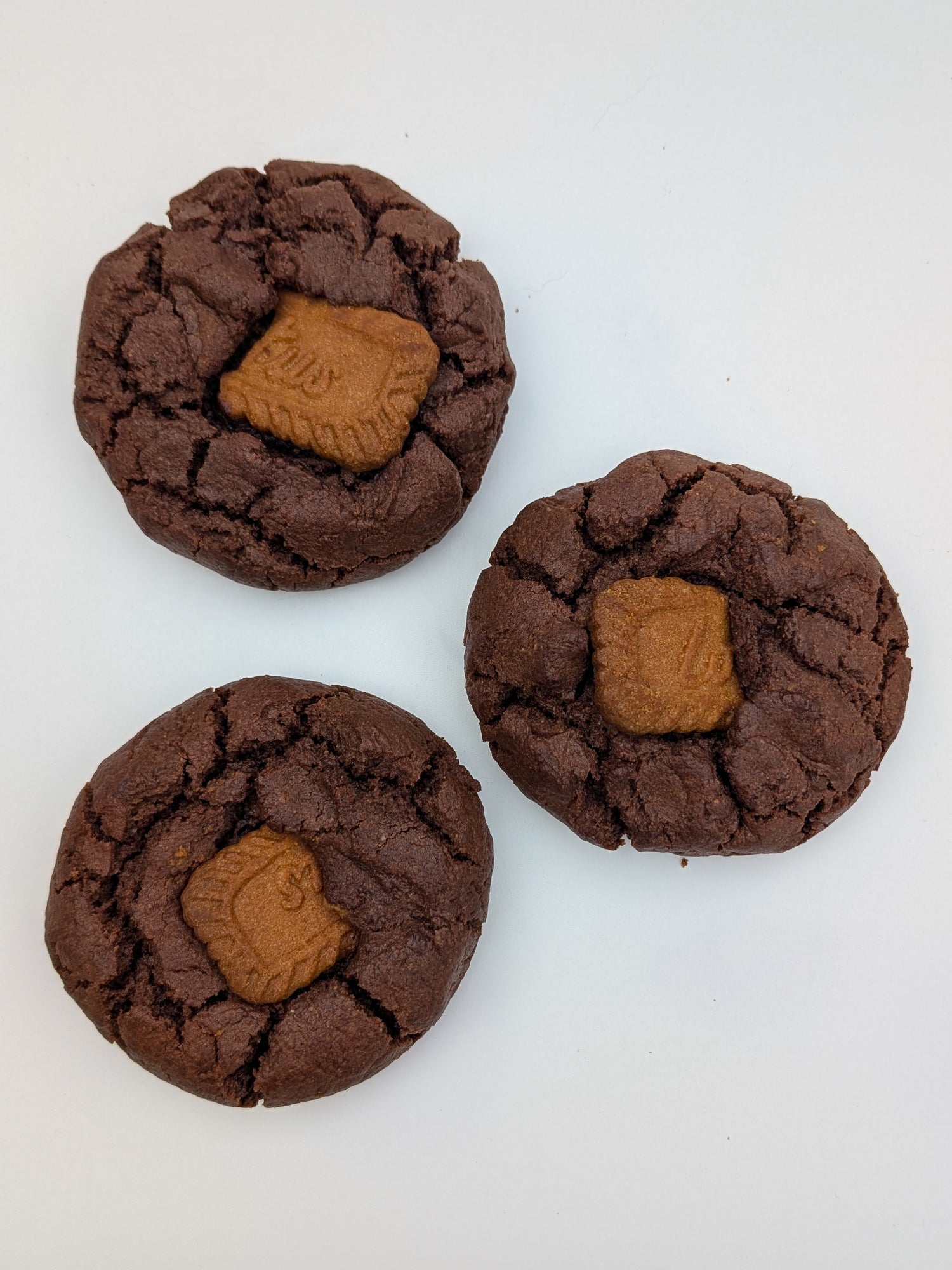 6 Pack - Biscoff Dark Choc Lactation Cookie (Dairy Free)