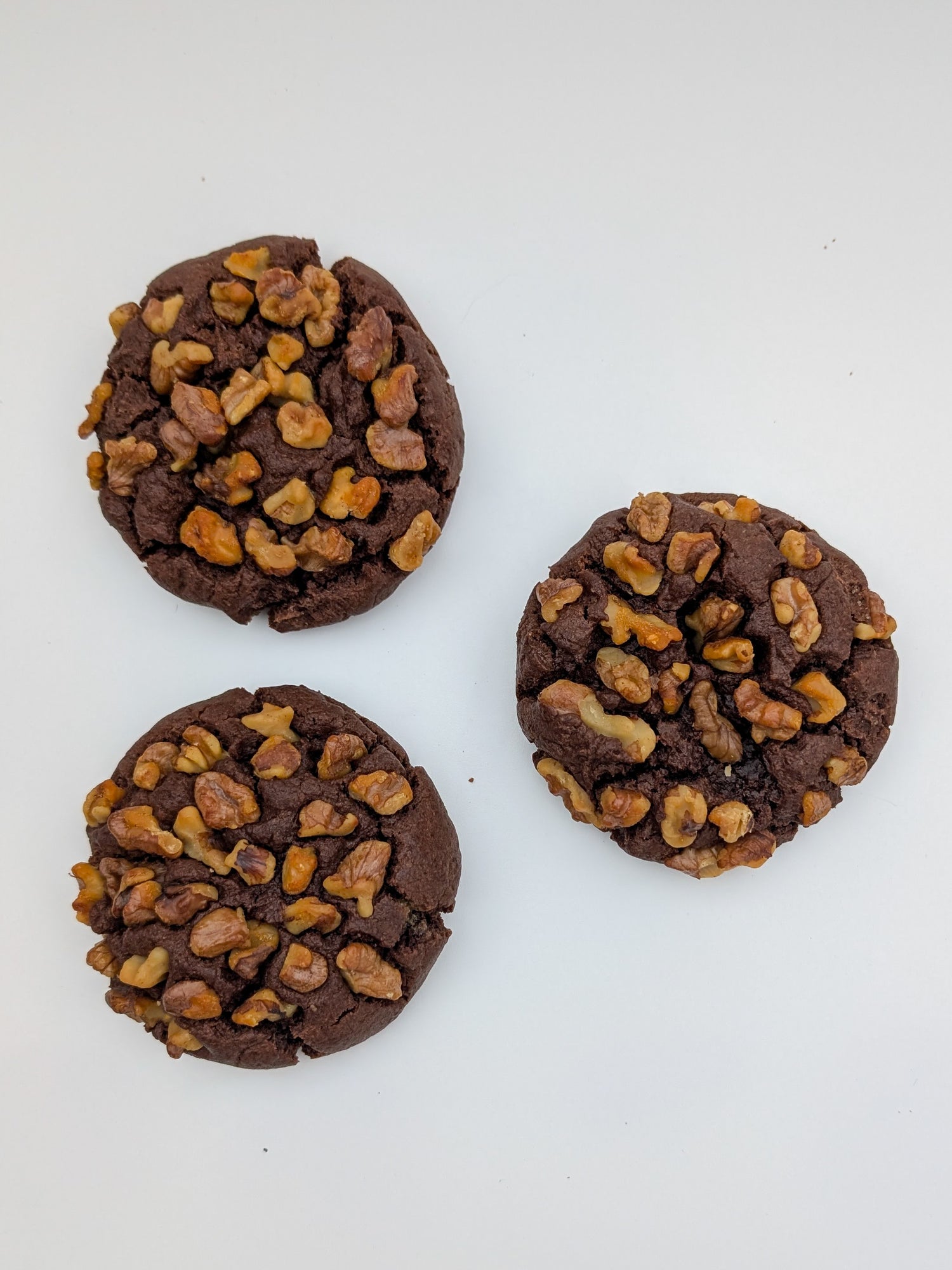 6 Pack - Walnut Dark Choc Lactation Cookie (Dairy & Soy Free)